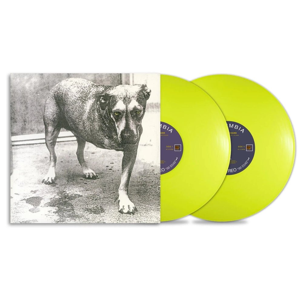 Alice In Chains - Alice In Chains - metafield_custom.product_key_info -  - The Vinyl Store