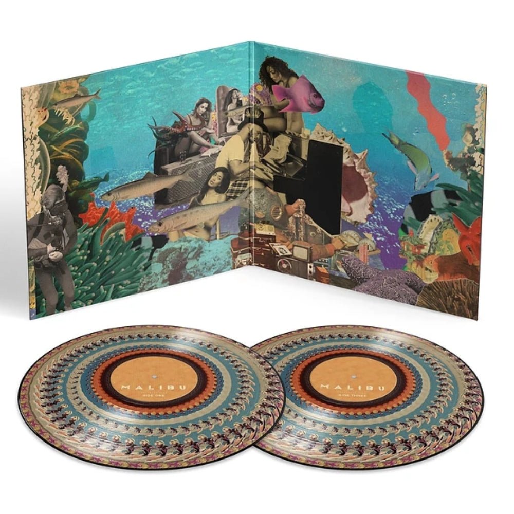 Malibu - Anderson .Paak - metafield_custom.product_key_info - 199316418903 - The Vinyl Store
