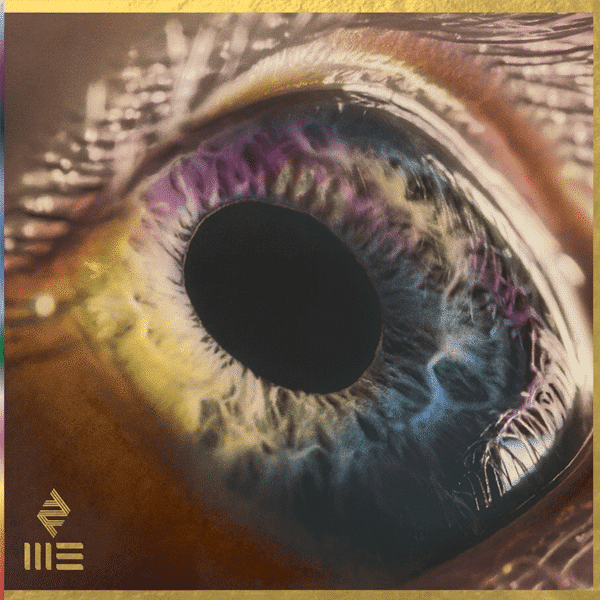 We - Arcade Fire - metafield_custom.product_key_info -  - The Vinyl Store