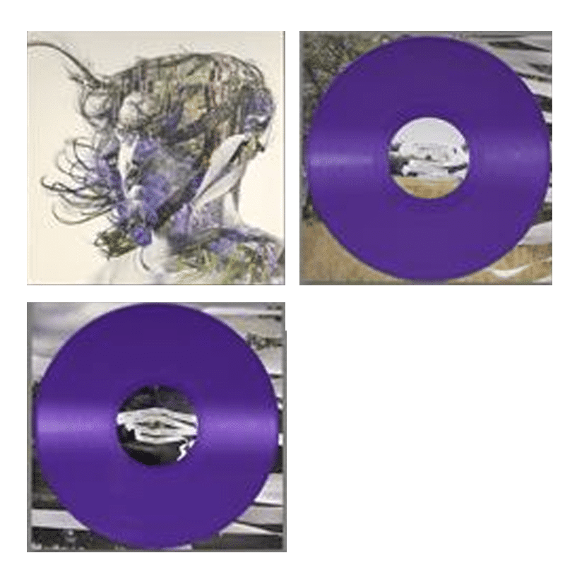 Ribbons - Bibio - 2lp - mp3 - 801061829919 - The Vinyl Store