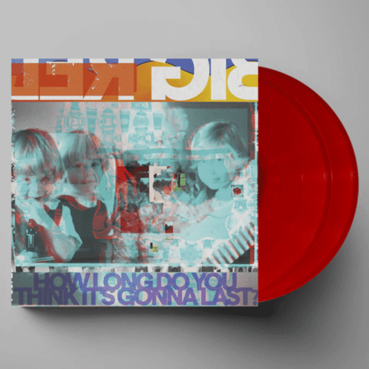 How Long Do You Think It's Gonna Last? - Big Red Machine - metafield_custom.product_key_info -  - The Vinyl Store