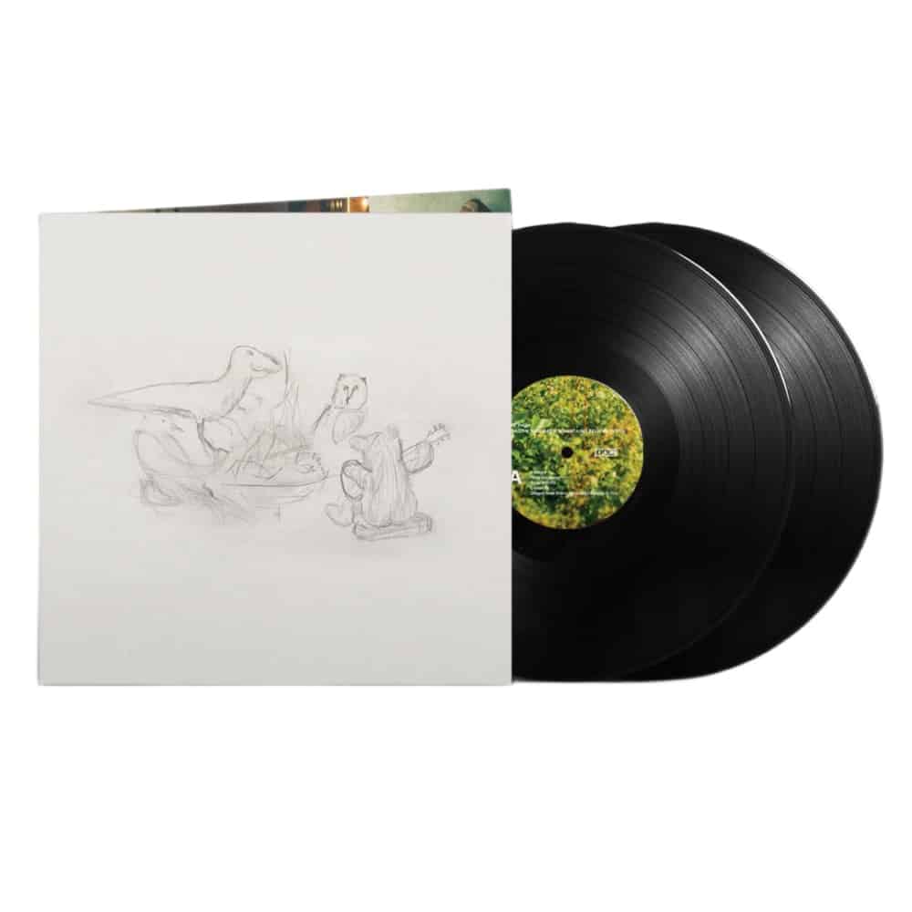 Dragon New Warm Mountain I Believe In You - Big Thief - metafield_custom.product_key_info -  - The Vinyl Store