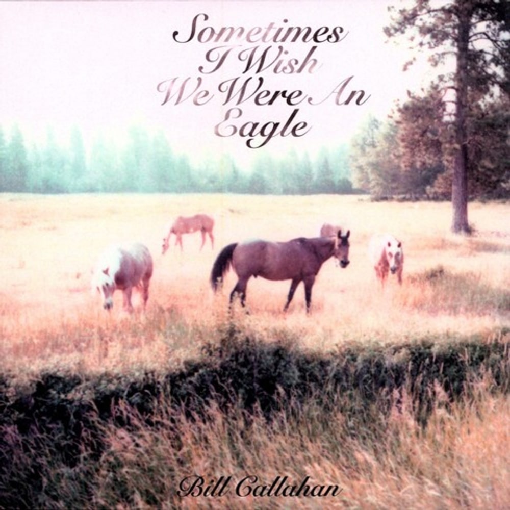 Sometimes I Wish We Were An Eagle - Bill Callahan - lp - 781484038511 - The Vinyl Store