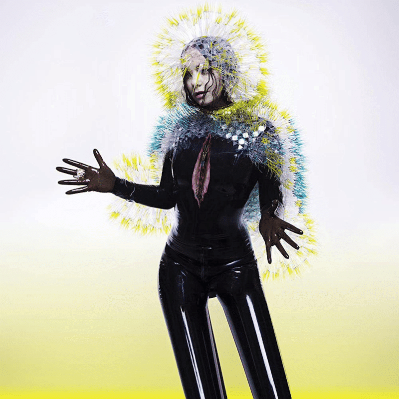 Vulnicura - Björk - 2lp - 5016958997267 - The Vinyl Store