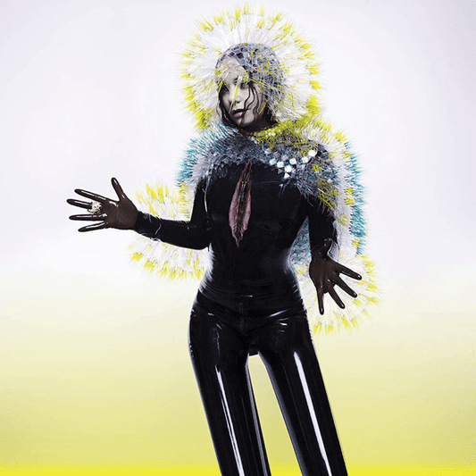Vulnicura - Björk - 2lp - 5016958997267 - The Vinyl Store