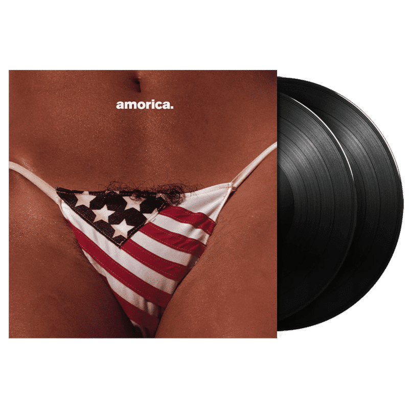 Amorica - The Black Crowes - 2lp - 602537494231 - The Vinyl Store