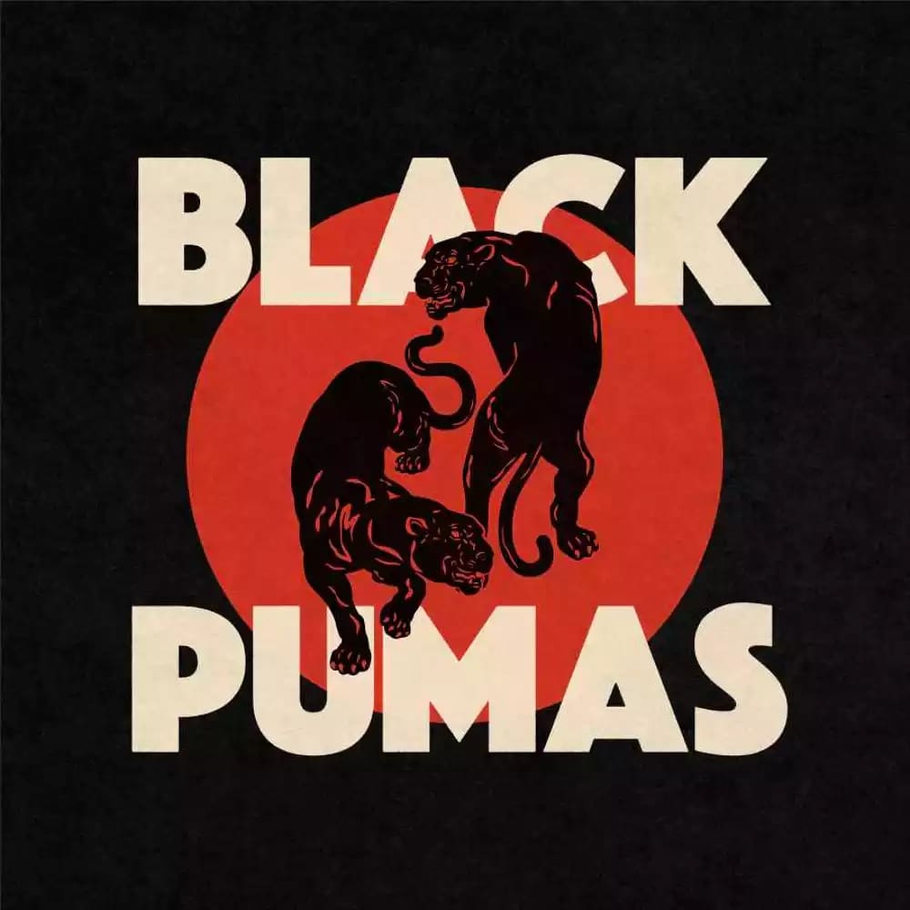 Black Pumas - Black Pumas - metafield_custom.product_key_info -  - The Vinyl Store