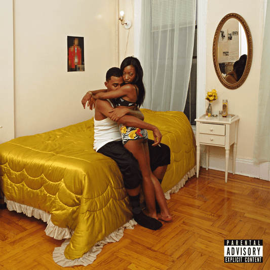 Freetown Sound - Blood Orange - metafield_custom.product_key_info -  - The Vinyl Store