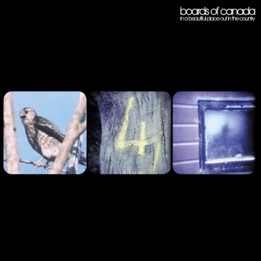 In a Beautiful Place Out in the Country - Boards Of Canada - metafield_custom.product_key_info -  - The Vinyl Store