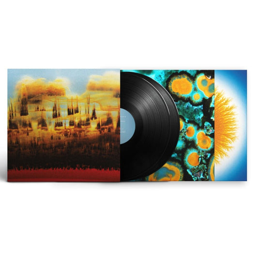 Distance In Static - Bonobo - metafield_custom.product_key_info - 5054429212037 - The Vinyl Store