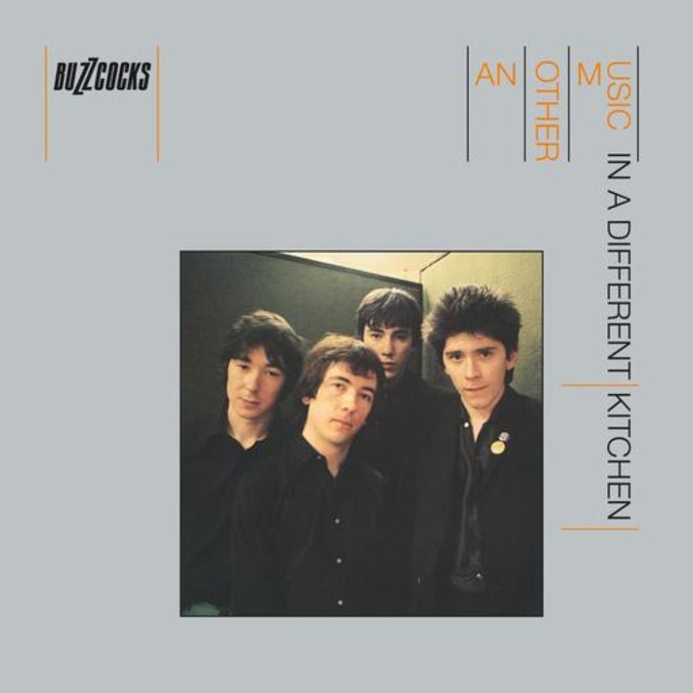 Another Music In A Different Kitchen - Buzzcocks - metafield_custom.product_key_info - 887830012621 - The Vinyl Store