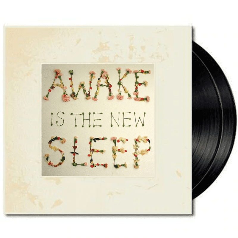 Awake Is the New Sleep - Ben Lee - metafield_custom.product_key_info -  - The Vinyl Store