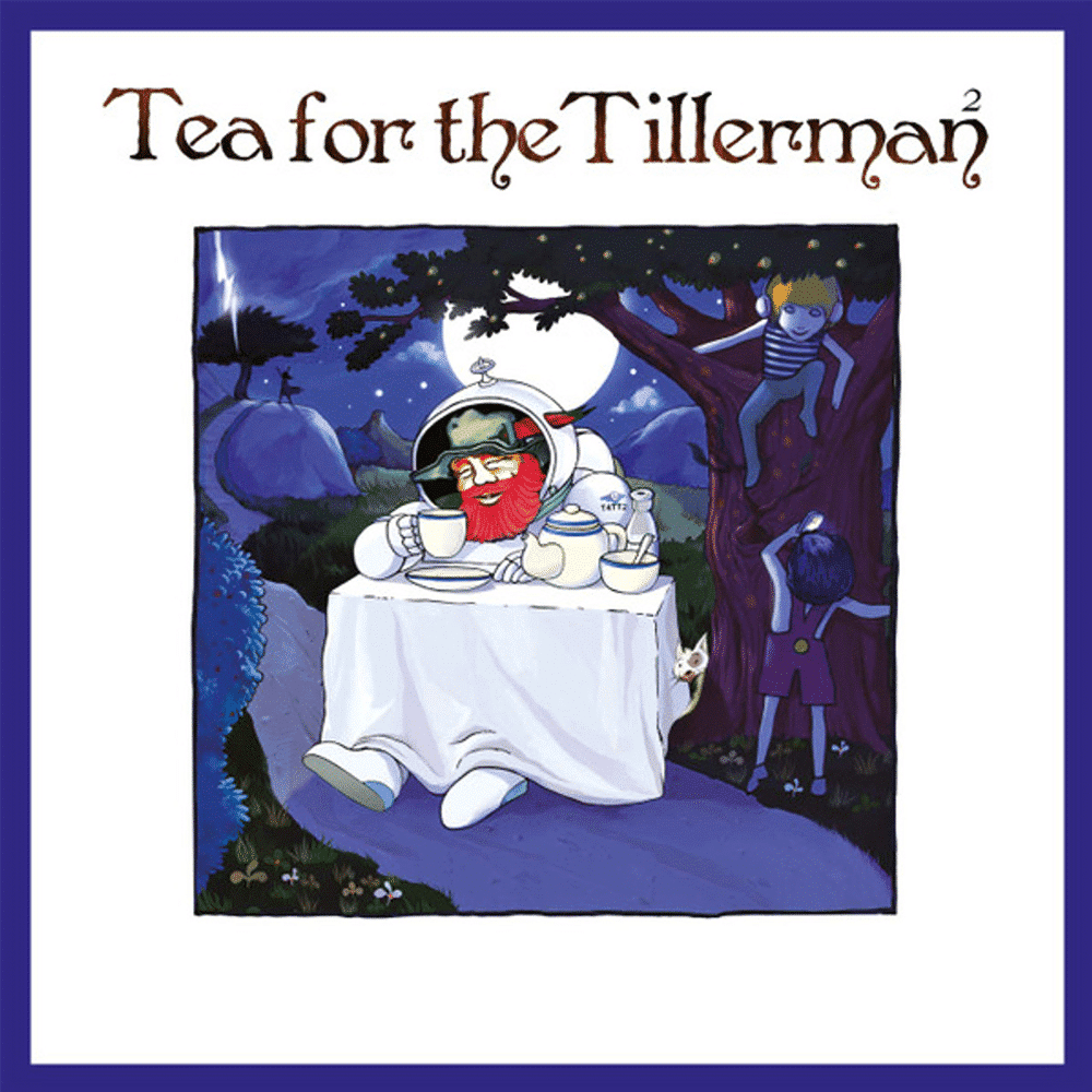 Tea For The Tillerman 2 - Cat Stevens - metafield_custom.product_key_info -  - The Vinyl Store