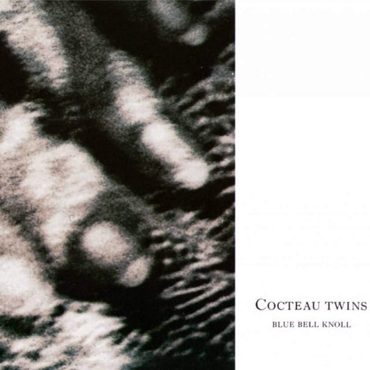 Blue Bell Knoll - Cocteau Twins - metafield_custom.product_key_info - 652637080728 - The Vinyl Store