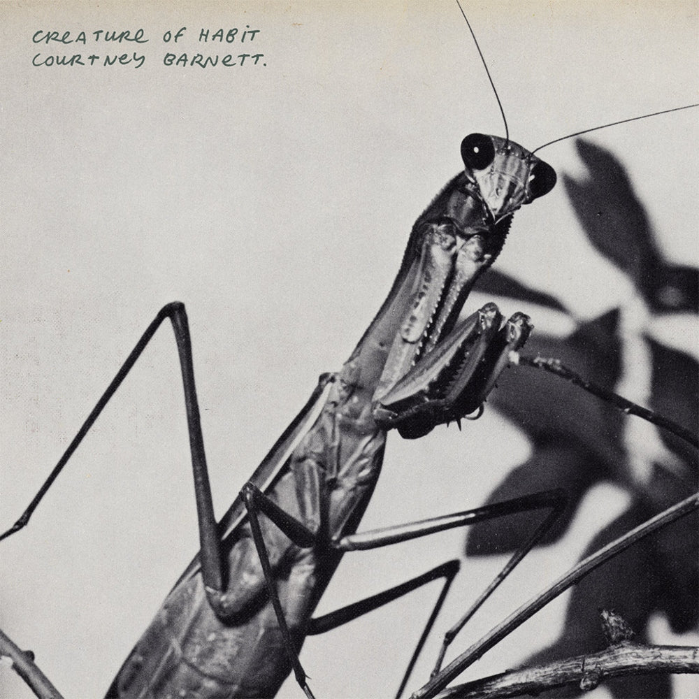 Creature of Habit - Courtney Barnett - metafield_custom.product_key_info - 198704841866 - The Vinyl Store
