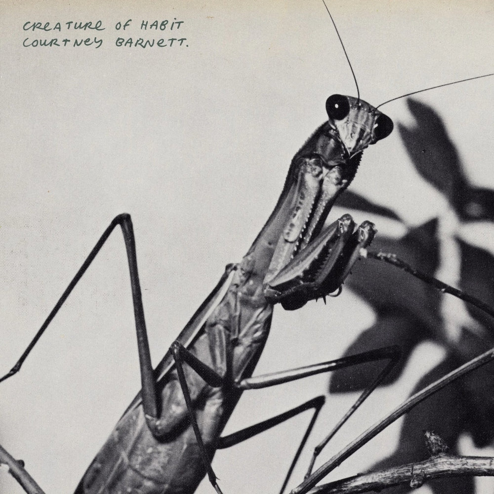 Creature of Habit - Courtney Barnett - metafield_custom.product_key_info - 198704841859 - The Vinyl Store