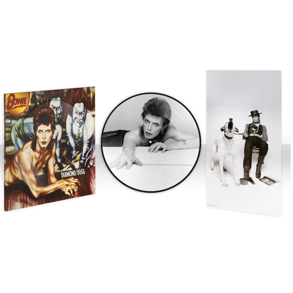 Diamond Dogs - David Bowie - metafield_custom.product_key_info - 5054197816413 - The Vinyl Store