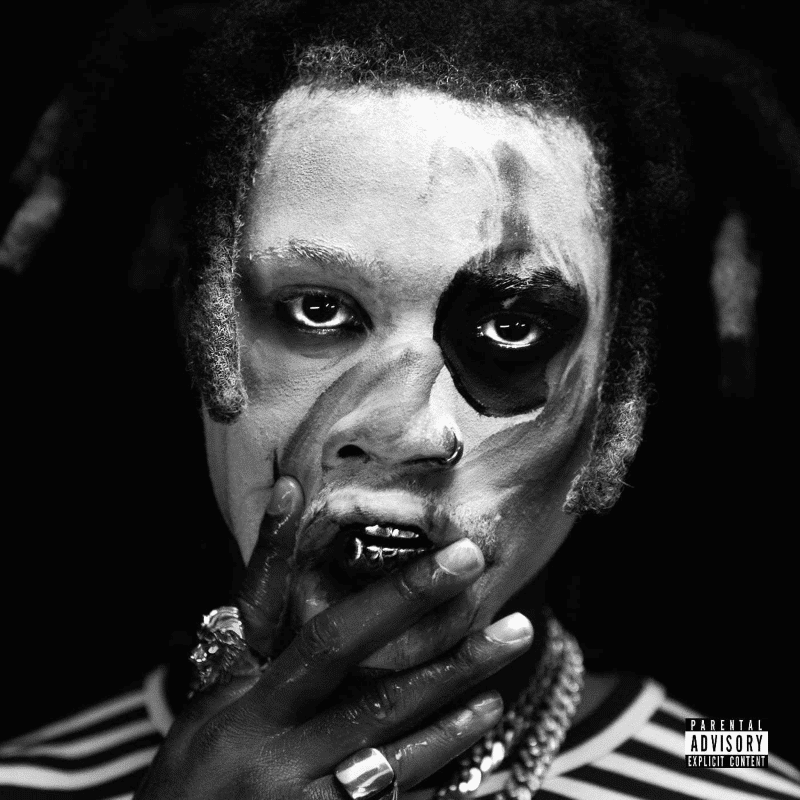 TA13OO - Denzel Curry - metafield_custom.product_key_info -  - The Vinyl Store