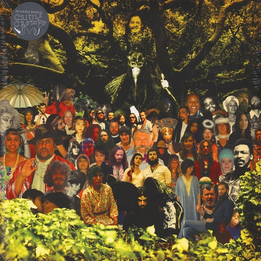 Cripple Crow - Devendra Banhart - 2lp - 634904019211 - The Vinyl Store