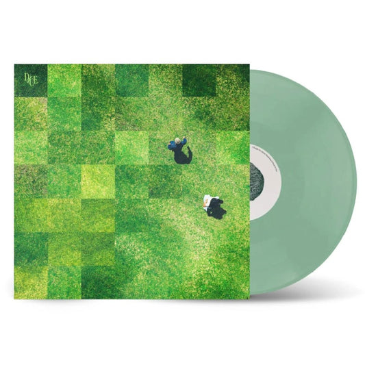 I Thought The Altitude Would Make it Worth The View - DICE - metafield_custom.product_key_info - 9332727137921 - The Vinyl Store