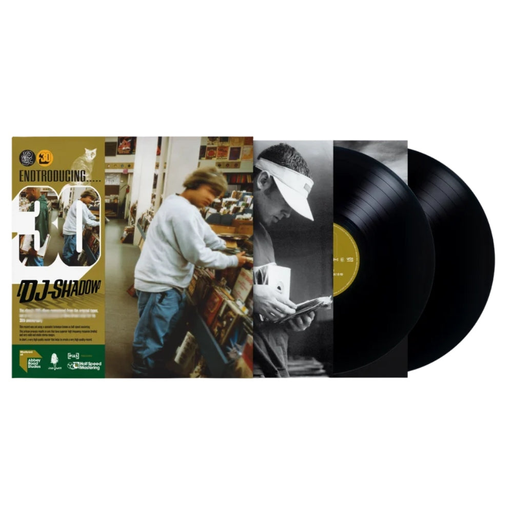 Endtroducing.....