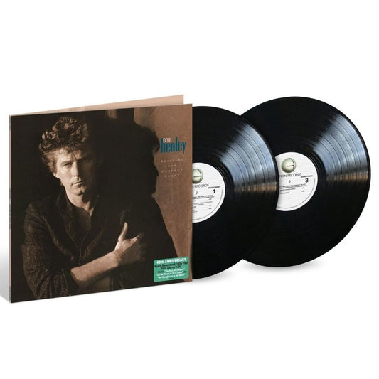 Building The Perfect Beast - Don Henley - metafield_custom.product_key_info - 602465150391 - The Vinyl Store