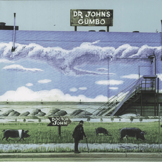 Dr John's Gumbo - Dr John - metafield_custom.product_key_info -  - The Vinyl Store
