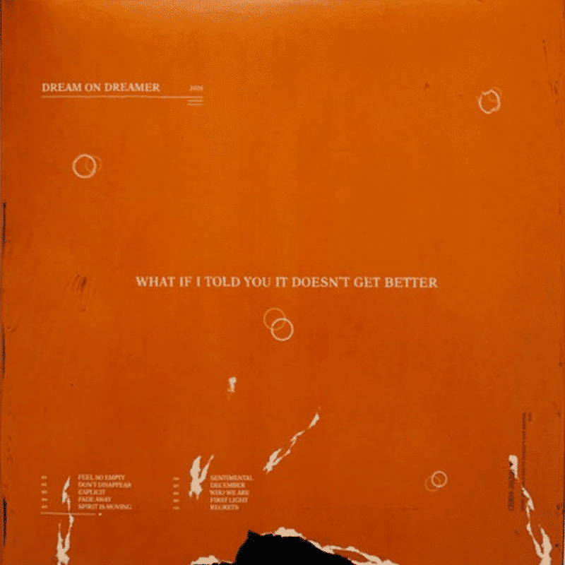 What If I Told You It Doesn't Get Better - Dream On Dreamer - metafield_custom.product_key_info -  - The Vinyl Store