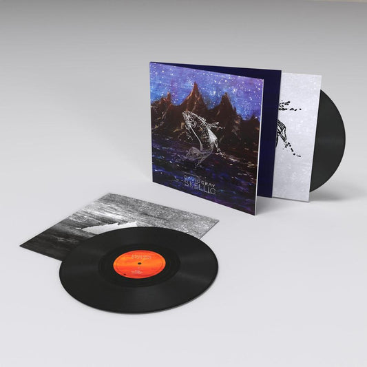 Skellig - David Gray - metafield_custom.product_key_info -  - The Vinyl Store