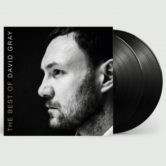 The Best of David Gray - David Gray - 2lp - 5060454945826 - The Vinyl Store