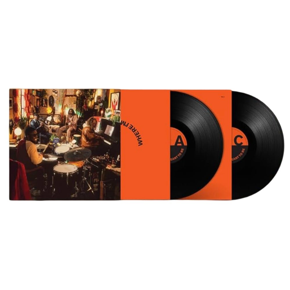 Where I'm Meant To Be - Ezra Collective - metafield_custom.product_key_info - 720841302018 - The Vinyl Store