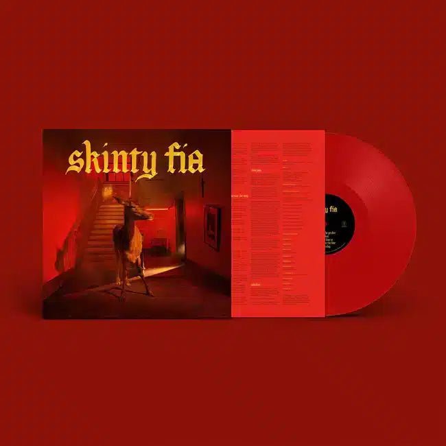 Skinty Fia - Fontaines D.C. - lp - 720841301639 - The Vinyl Store