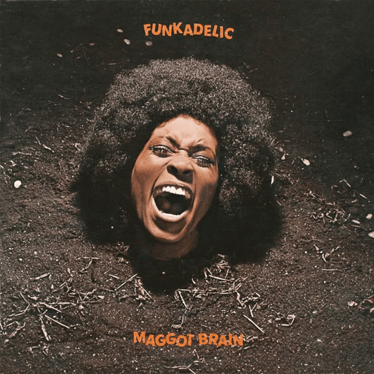 Maggot Brain - Funkadelic - lp - 029667370219 - The Vinyl Store
