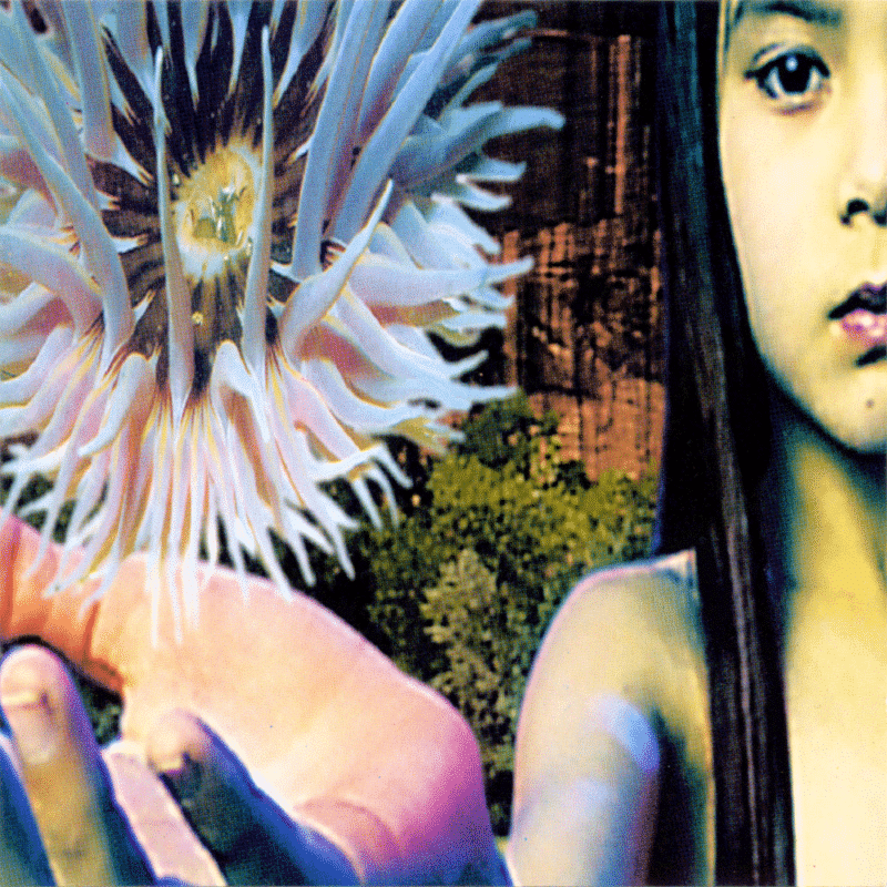 Lifeforms - Future Sound Of London - metafield_custom.product_key_info -  - The Vinyl Store