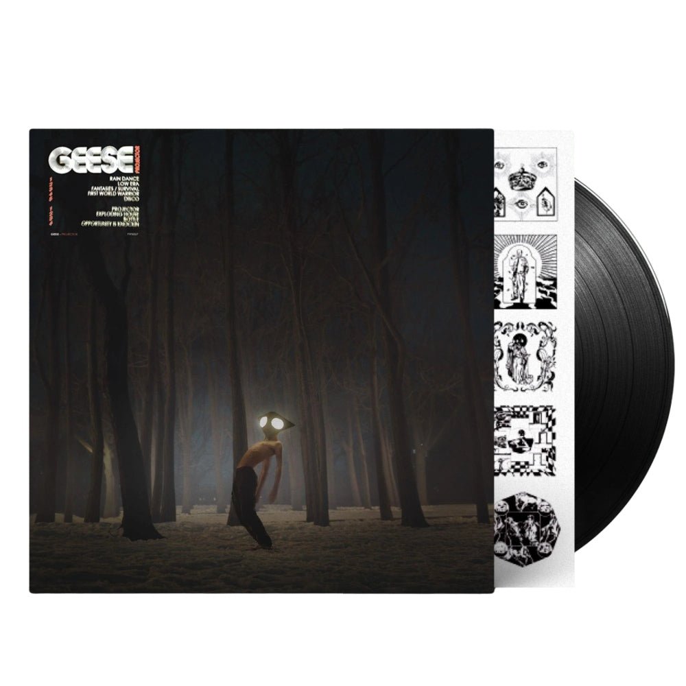 Projector - Geese - metafield_custom.product_key_info - 5400863056582 - The Vinyl Store