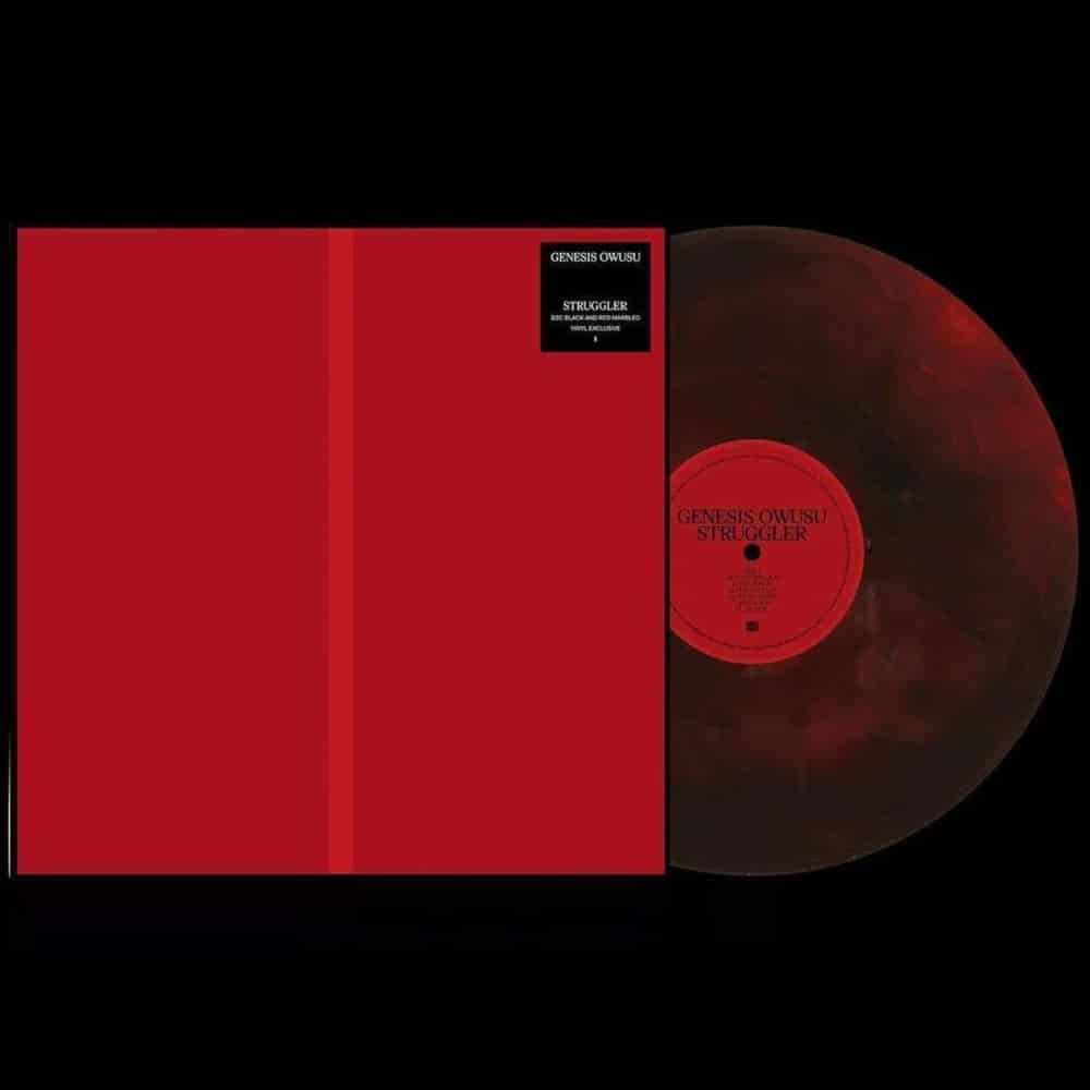 Struggler - Genesis Owusu - metafield_custom.product_key_info -  - The Vinyl Store