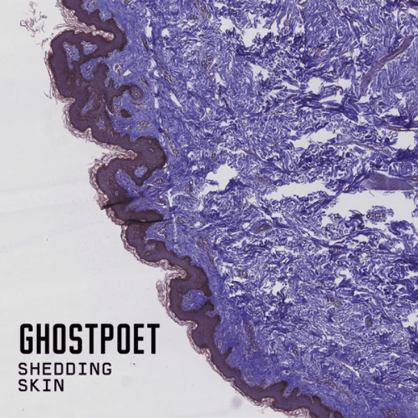 Shedding Skin - Ghostpoet - metafield_custom.product_key_info -  - The Vinyl Store