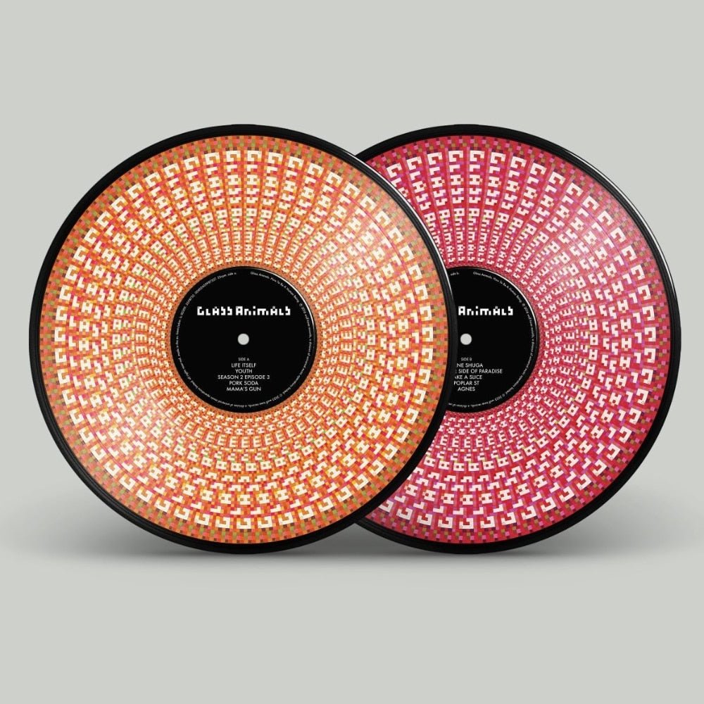 How To Be A Human Being - Glass Animals - lp - 602455987327 - The Vinyl Store