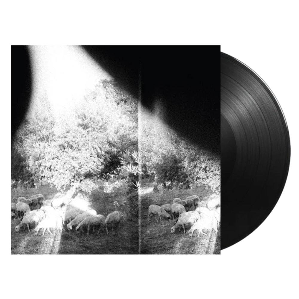 Asunder, Sweet And Other Distress - Godspeed You! Black Emperor - metafield_custom.product_key_info -  - The Vinyl Store