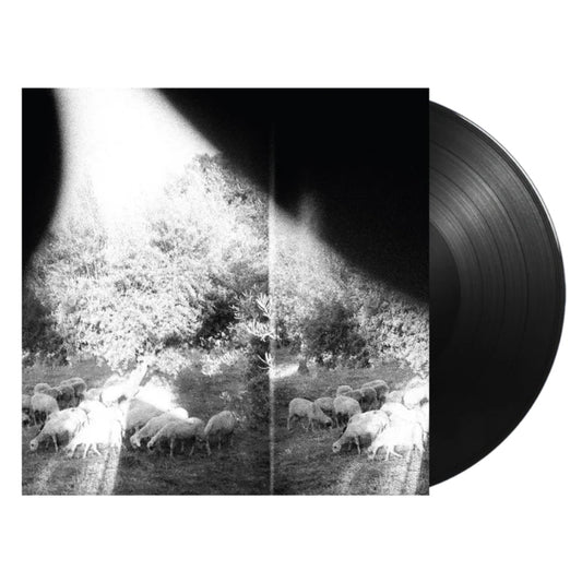 Asunder, Sweet And Other Distress - Godspeed You! Black Emperor - metafield_custom.product_key_info -  - The Vinyl Store