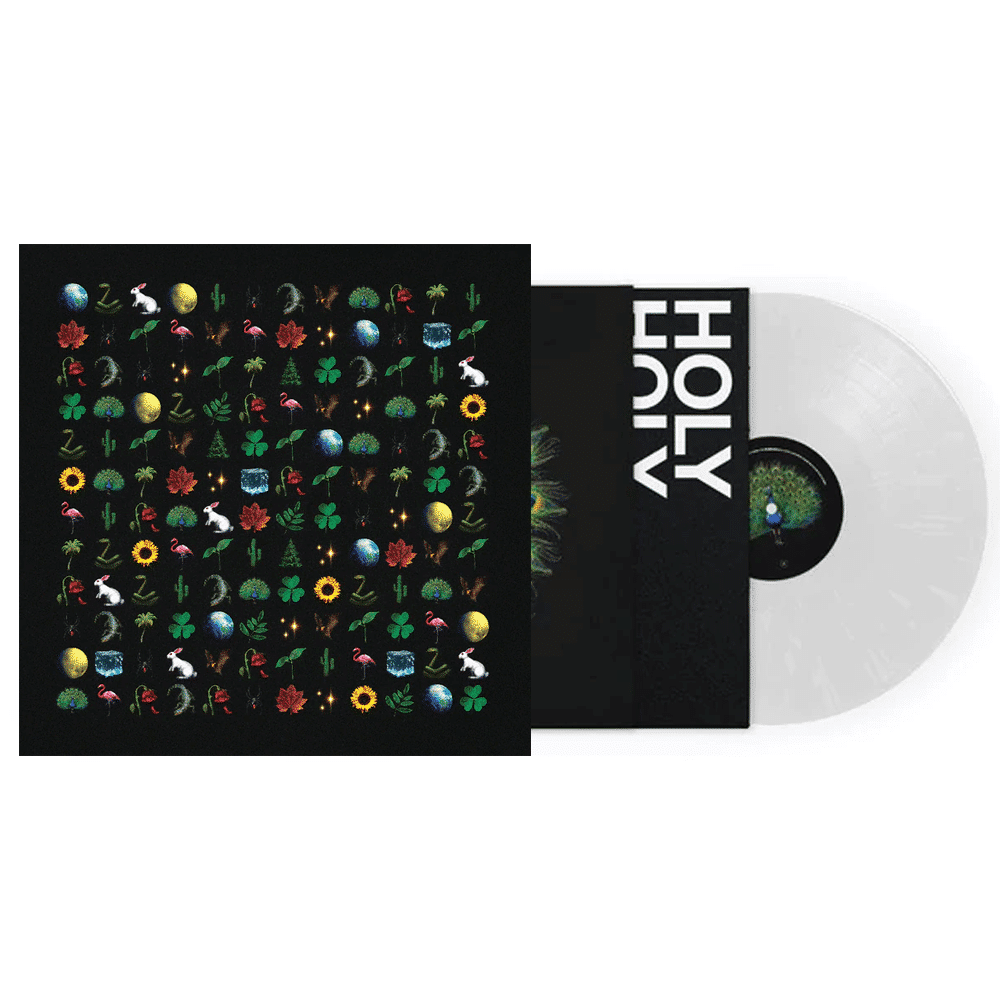 Hello My Beautiful World - Holy Holy - lp - 194399182819 - The Vinyl Store