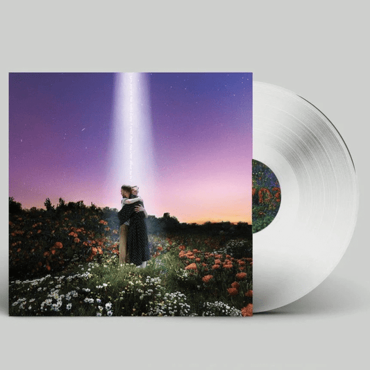 Let's Just Say The World Ended A Week From Now, What Would You Do? - Honne - lp - 190296684005 - The Vinyl Store