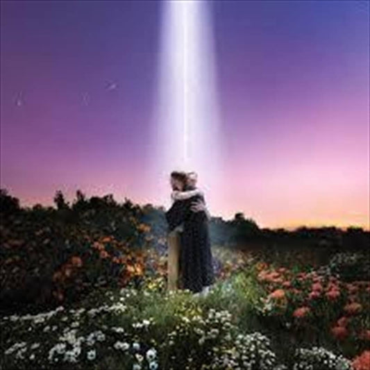 Let's Just Say The World Ended A Week From Now, What Would You Do? - Honne - lp - 190296684012 - The Vinyl Store