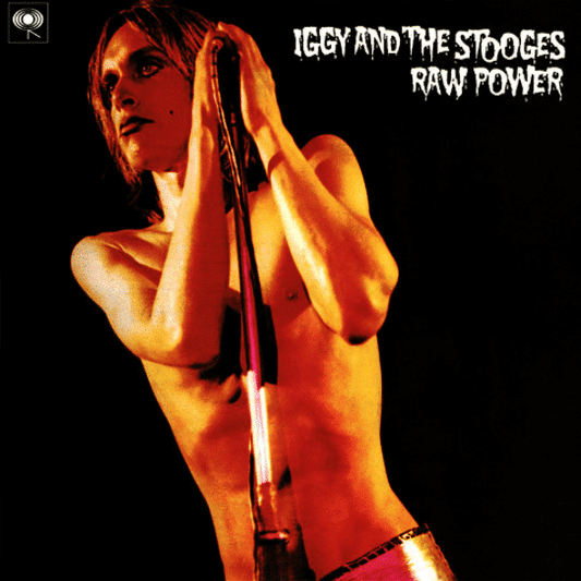 Raw Power  - Iggy & The Stooges - metafield_custom.product_key_info -  - The Vinyl Store