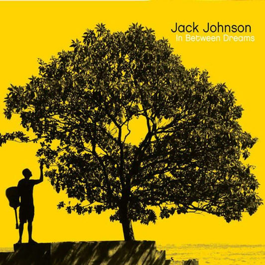In Between Dreams - Jack Johnson - metafield_custom.product_key_info -  - The Vinyl Store
