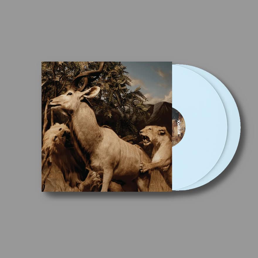 Our Love To Admire - Interpol - 2lp - 191401150408 - The Vinyl Store