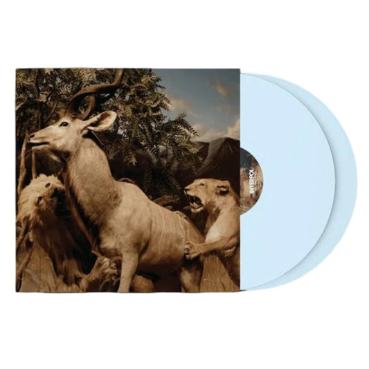 Our Love To Admire - Interpol - metafield_ custom.product_key_info - 191401150408 - The Vinyl Store