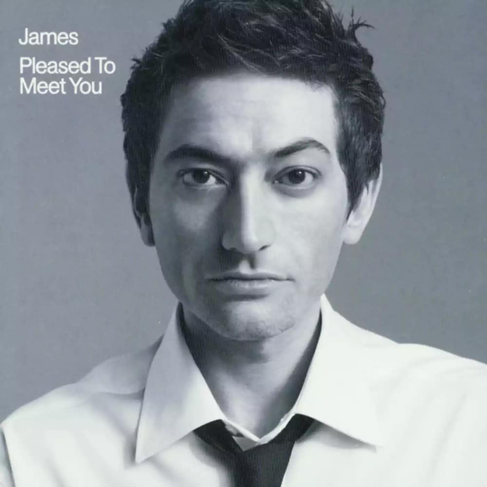 Pleased To Meet You - James - metafield_custom.product_key_info -  - The Vinyl Store