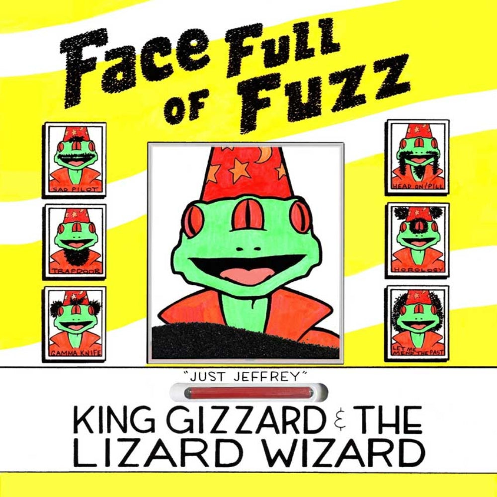 Face Full of Fuzz - Live In Lithuania '25