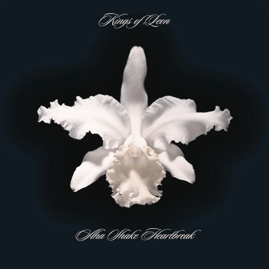 Aha Shake Heartbreak - Kings Of Leon - metafield_custom.product_key_info -  - The Vinyl Store
